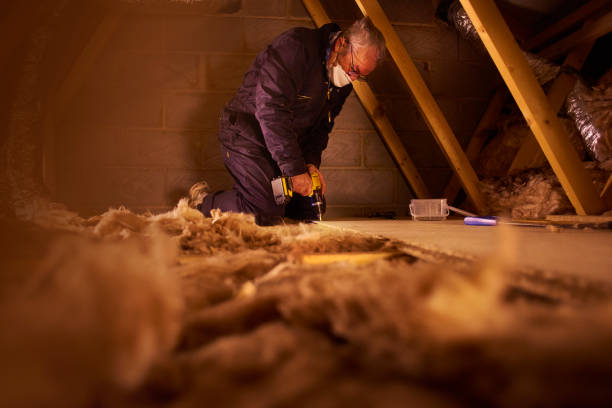 Best Residential Insulation in Flippin, AR